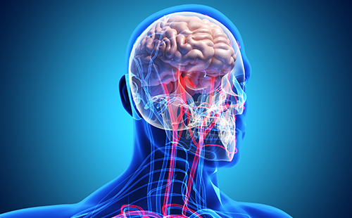 動(dòng)脈硬化檢測(cè)儀