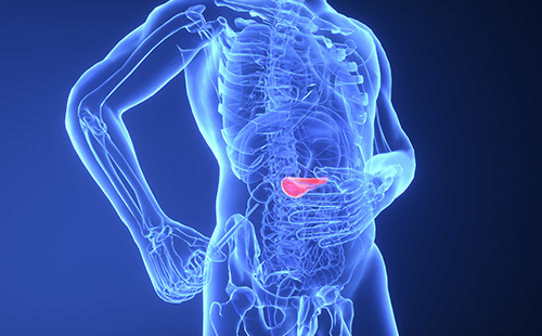 動(dòng)脈硬化檢測儀