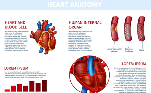 動脈硬化檢測儀
