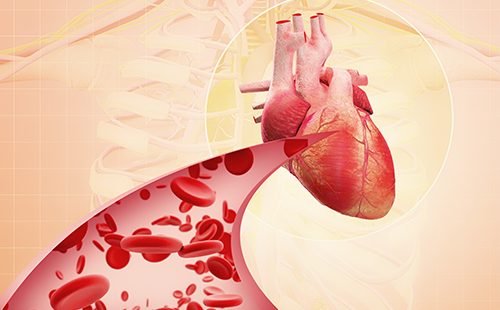 動脈硬化檢測儀