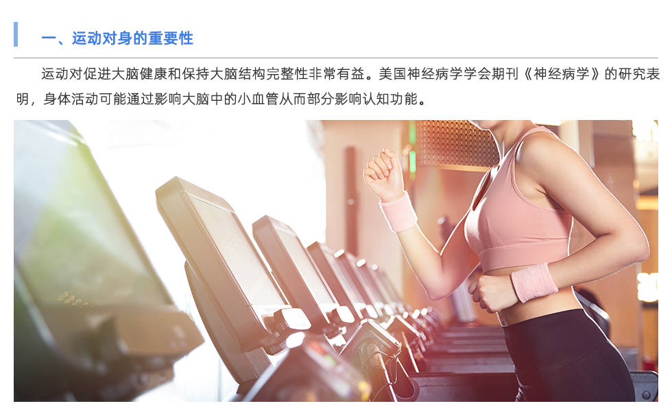 體能測(cè)試儀