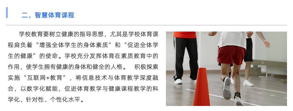 體能測(cè)試儀