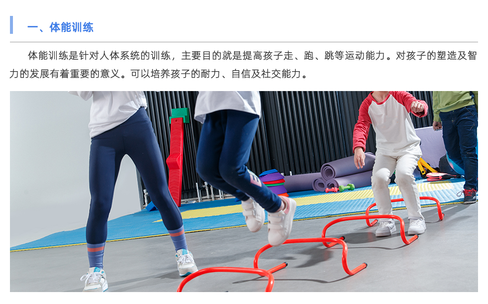 體能檢測(cè)儀