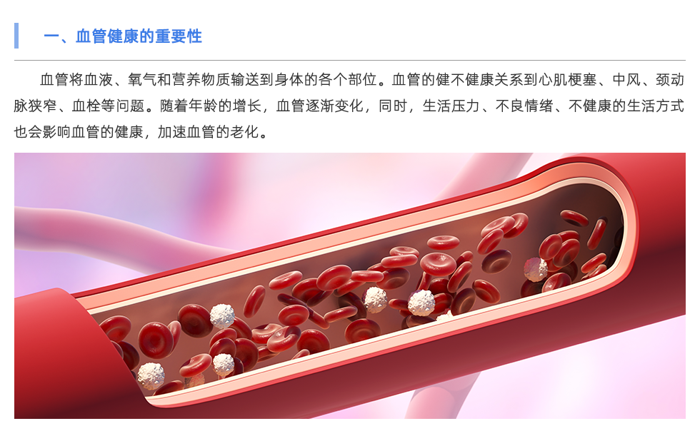 脈搏波速測定儀