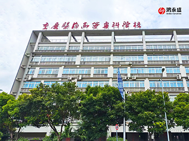 體能檢測(cè)儀