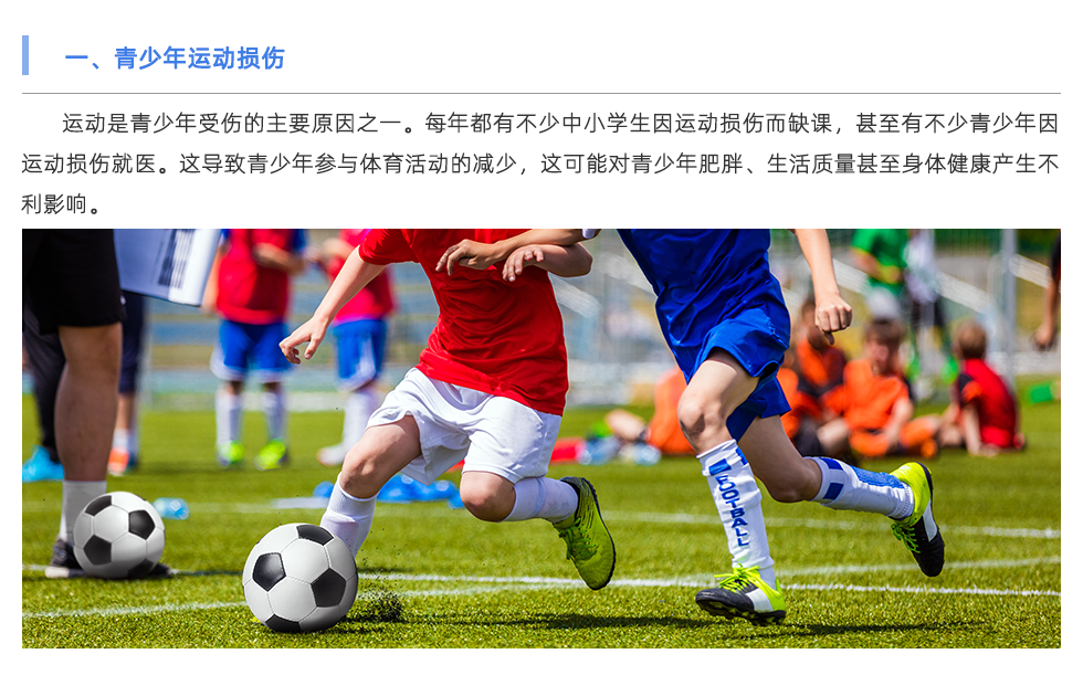 體能測(cè)試儀