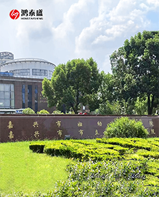 足底壓力檢測(cè)儀，人體姿態(tài)檢測(cè)儀