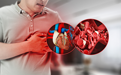 動(dòng)脈硬化分析儀