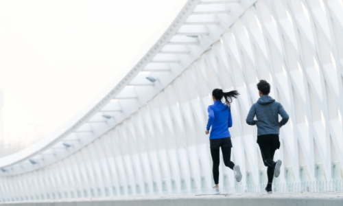 體適能檢測(cè)儀