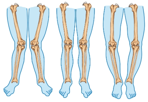 定制鞋墊機(jī)